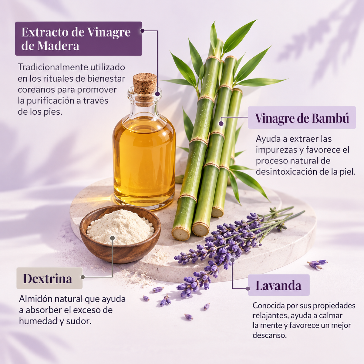 SOONÉ Parches Desintoxicantes con Lavanda – Cuidado Natural e Inspirado en Corea (10 Unidades)