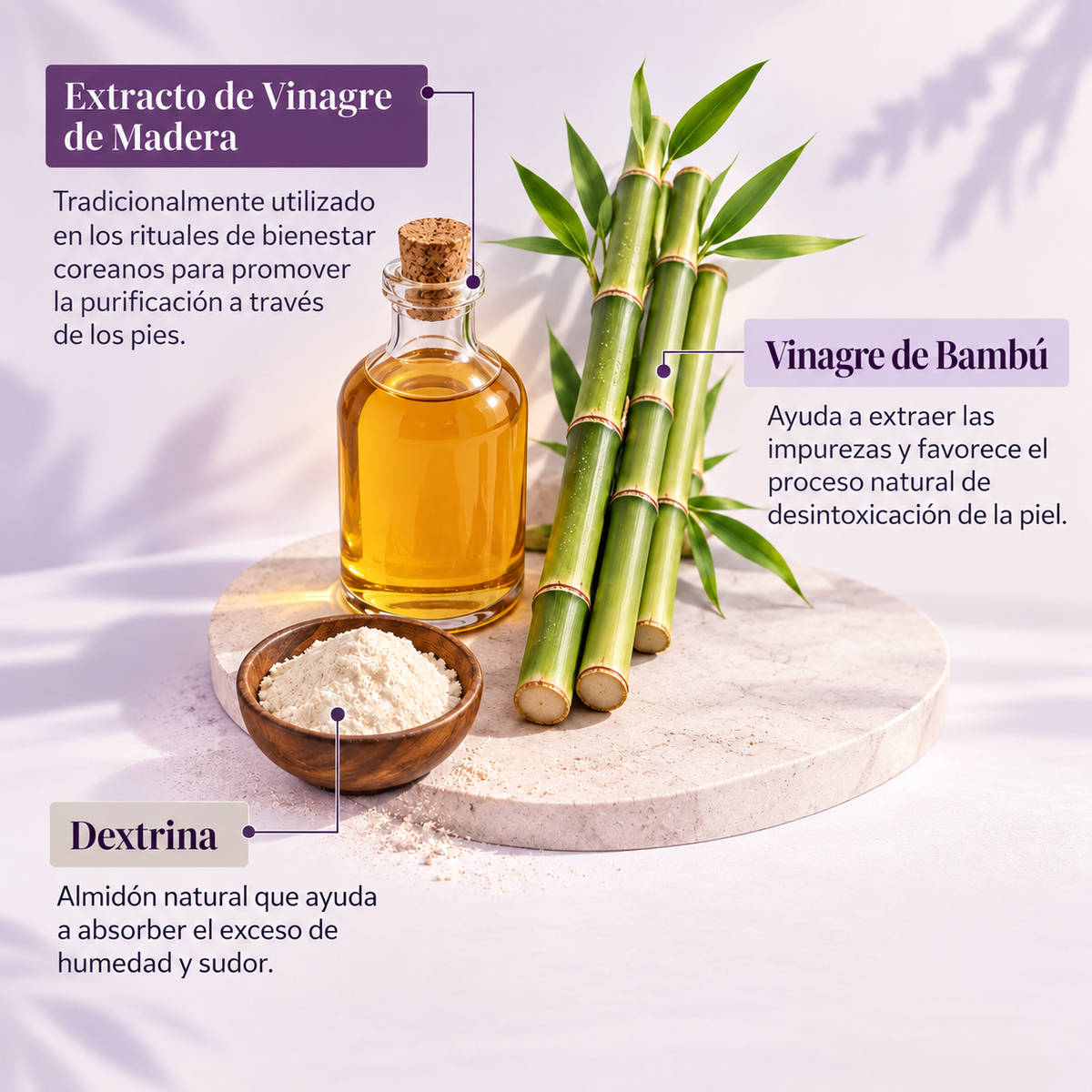 Kinoki Parches Desintoxicantes – Cuidado Natural e Inspirado en Corea (10 Unidades)